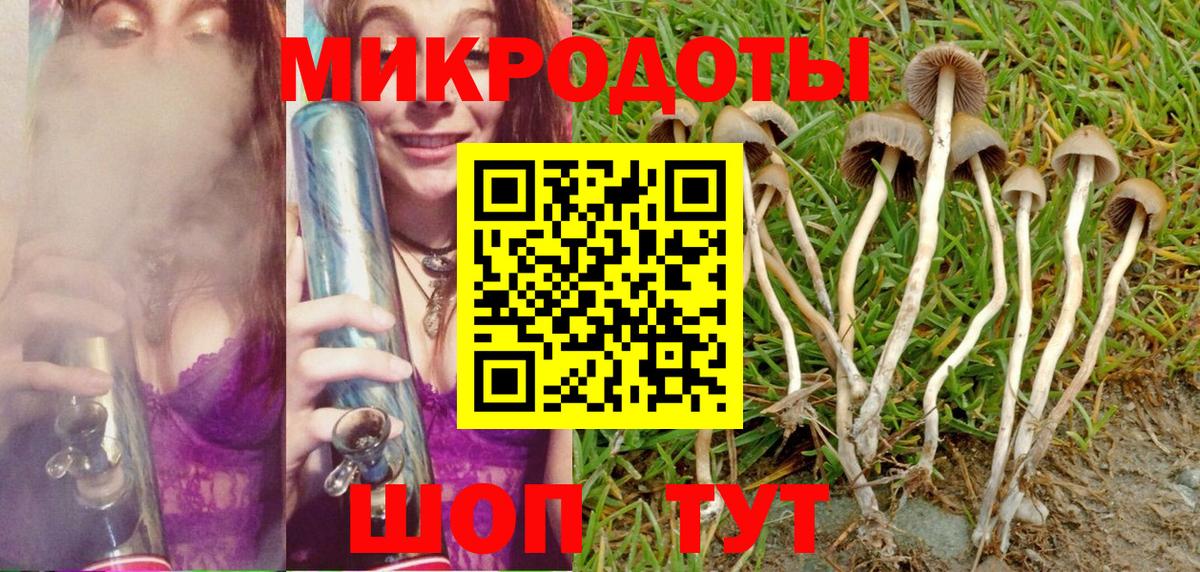 Кировск  Галлюциногенные грибы мухоморы  Вход с VPN 