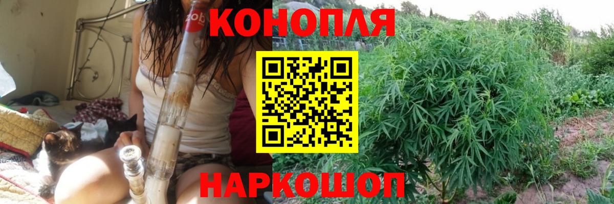 Бошки марихуана Amnesia Кировск